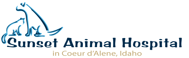 Sunset Animal Hospital